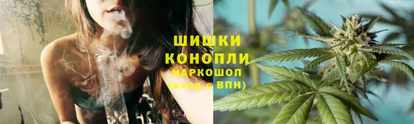 гидропоника Белокуриха