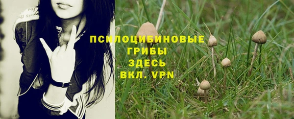 гидропоника Белокуриха