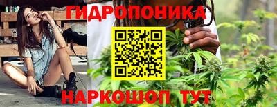 СК Волгодонск