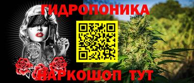 МДПВ Будённовск