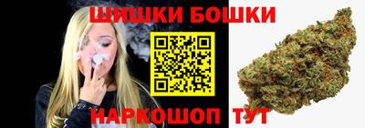 СК Волгодонск
