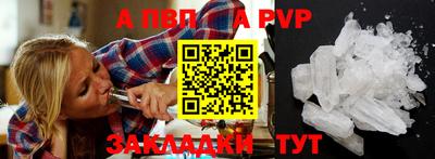 СК Волгодонск