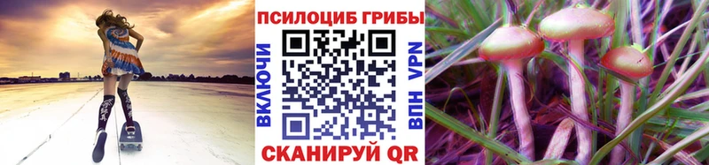 Галлюциногенные грибы GOLDEN TEACHER  гидра зеркало  Гулькевичи 