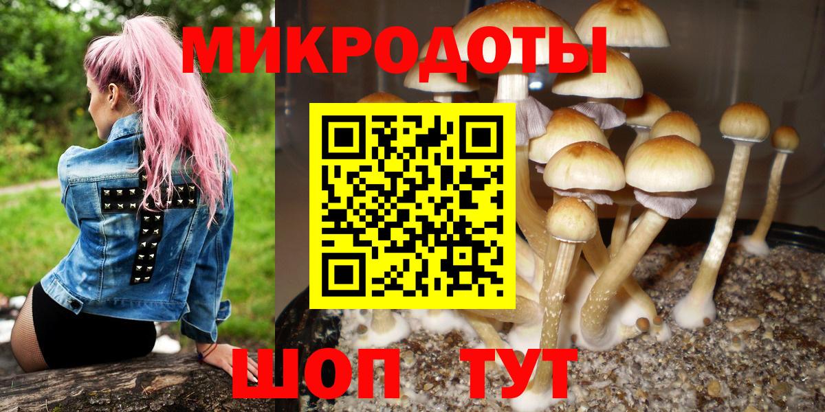 Гулькевичи  Псилоцибиновые грибы ЛСД  Вход с VPN  Псилоцибиновые грибы прущие грибы 