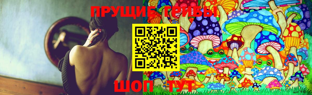 Псилоцибиновые грибы мухоморы Гулькевичи